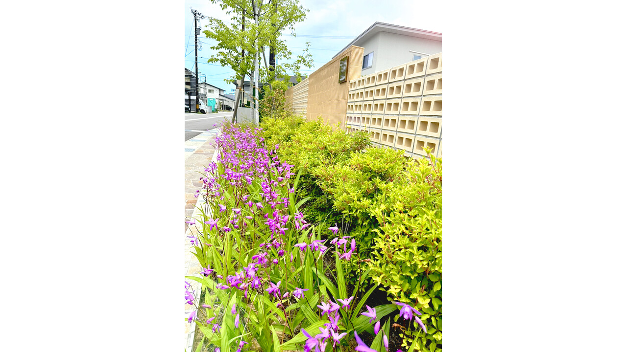 Bright SeasonⅣ下大久保
